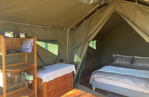 Maanhaarand Other | Soetvlei Tented Camp