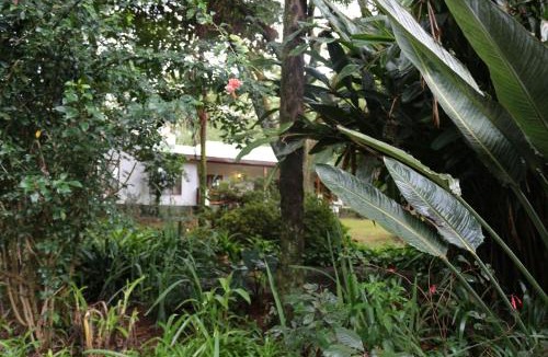 Louis Trichardt House | Softwaters Guesthouse Cottages
