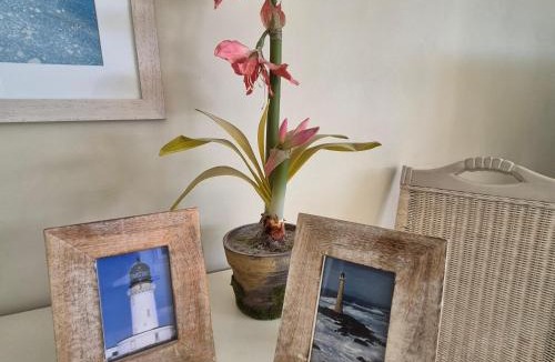 Waterfront Apartment | South Quay no 6
