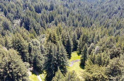 Los Gatos House | Spacious Redwood Forest Retreat Stunning View 45acre WiFi