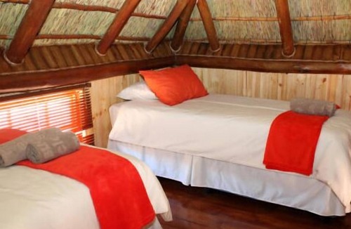 Springbok Cabin | Sperrgebiet Lodge