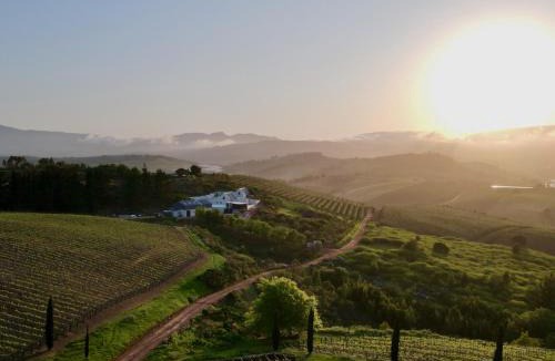 Grabouw Villa | Spioenkop Wines Farm House