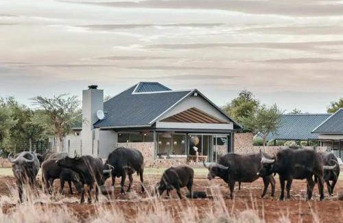 Kgetlengrivier Cabin | Stroomrivier Lodge