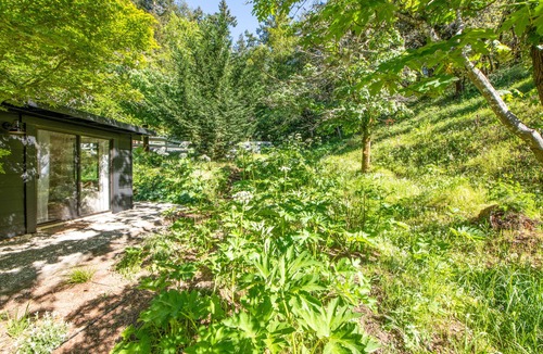 Lagunitas-Forest Knolls House | Stunning and Tranquil Cottage Surrounded by Nature