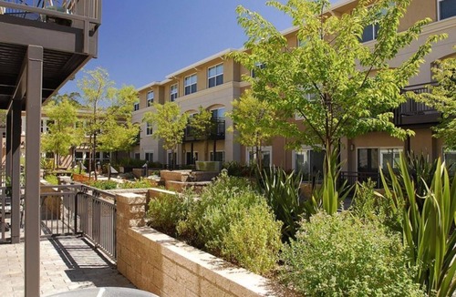 Novato Condo | Stylish 1BR Stay in Prime Location at Millworks