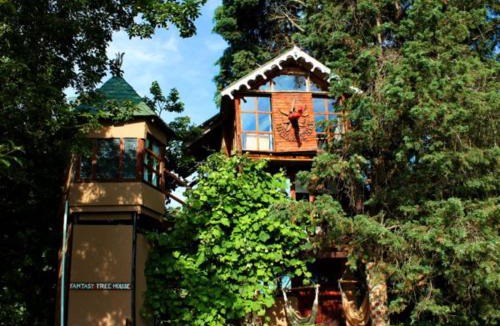 Mooirivier Cabin | Sycamore Avenue Treehouses & Cottages Accommodation