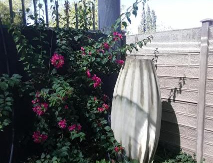 Upington House | Tehillah Guesthouse