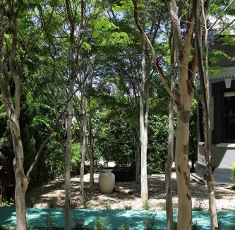 Robertson House | The Black House