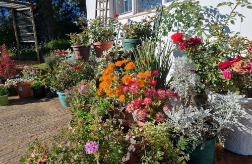 Himeville Bed & Breakfast | The Cottage on the Corner