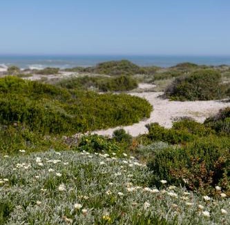 Yzerfontein Villa | The Duinhuis Yzerfontein
