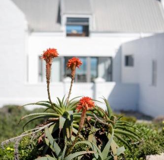 Yzerfontein Villa | The Duinhuis Yzerfontein