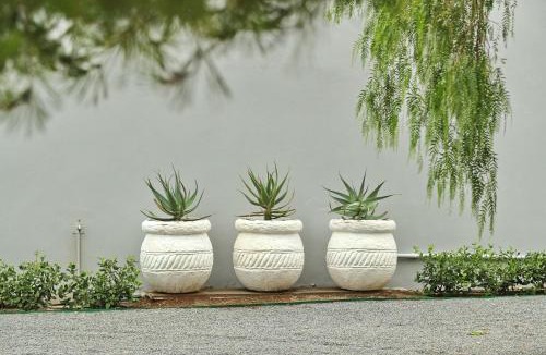 Colesberg Apartment | The Fancy Cactus
