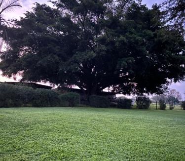 Camperdown House | The Farmery Garden and Guesthouse