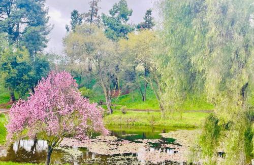Modesto Villa | The Grand Waterside Estate Easy drive to Yosemite