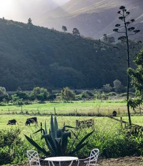 Swellendam House | The Hamlet