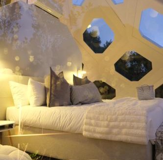 Storms River Other | The Hive - Cloud at Misty Mountain Reserve