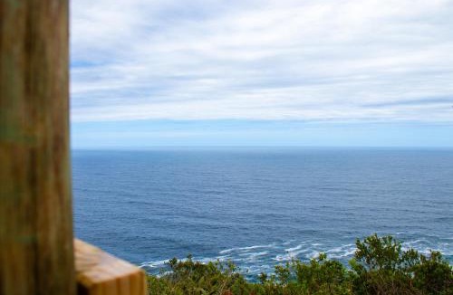 Storms River Other | The Hive - Jungle at Misty Mountain Reserve