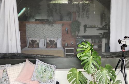 Clarens Other | The Jolly Joint Clarens