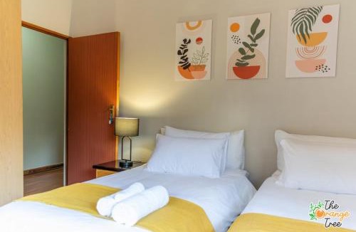 Alkmaar House | The Orange Tree Guest House
