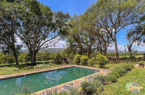 Alkmaar House | The Orange Tree Guest House