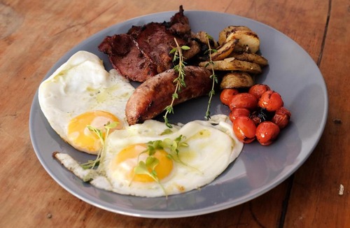 Camperdown Bed & Breakfast | The Owl House