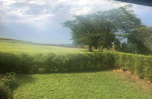Mid Illovo House | The Pastures