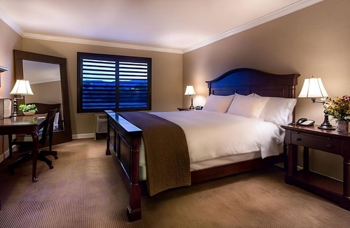 Cupertino Hotel | The Perfect Cupertino Stay | Pool Access, Free Breakfast, Pets Are Welcome!