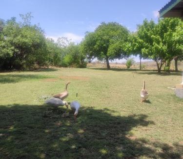 Magaliesberg Apartment | The Pink Chair