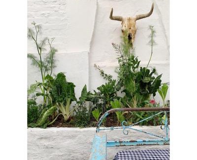 Richmond - NC House | The Richmond Café and Rooms