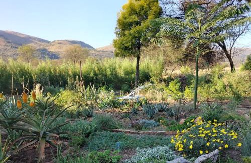 Vaalwater House | The Seed Pod Guesthouse