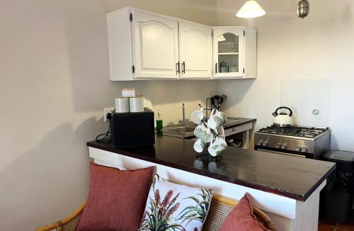 Old Place Apartment | The Studio on Boekenhout