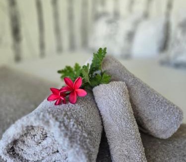 Riebeeck West House | The tiny home