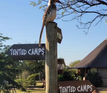 Hammanskraal Other | Thorn Tree Bush Camp