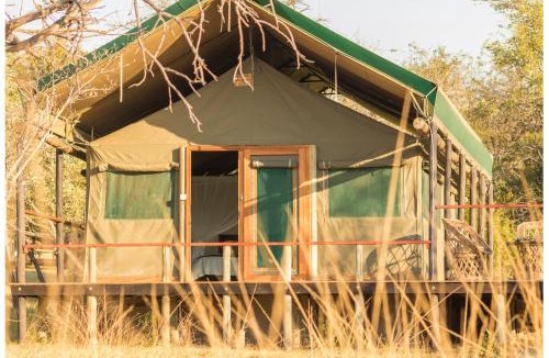 Thorny Bush Game Reserve Cabin | Timbavati Safari Lodge