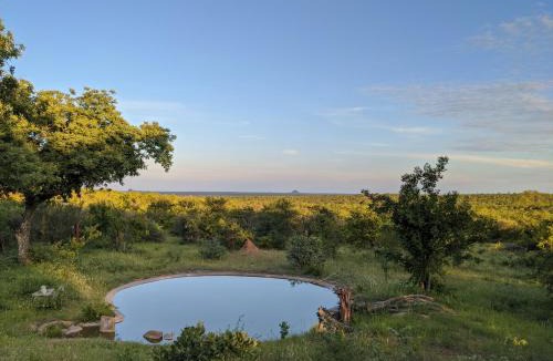 Phalaborwa Cabin | Tingala Lodge - Bed in the Bush