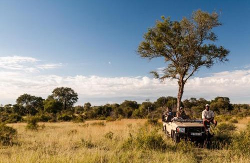 Thorny Bush Game Reserve Cabin | Tintswalo Safari