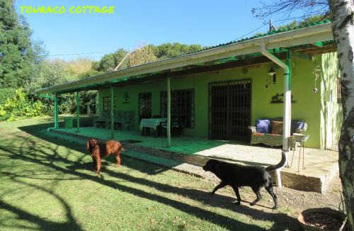 Hogsback House | Touraco