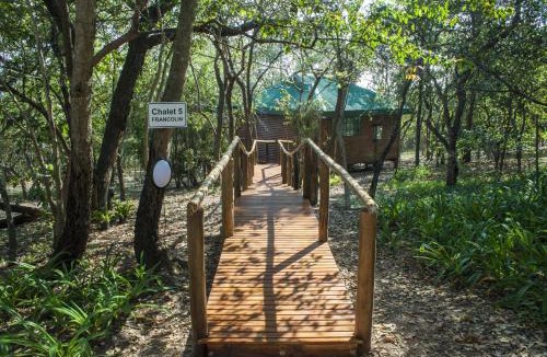 Hazyview Cabin | Tranquil Nest