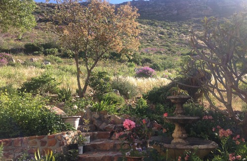 Fish Hoek Hotel | Tranquility Guest House
