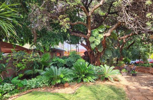 Mokopane House | Tree Aloe Guest House