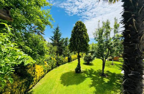 Karaburun Koyu Hotel | Treekos Suite Hotel Istanbul Airport