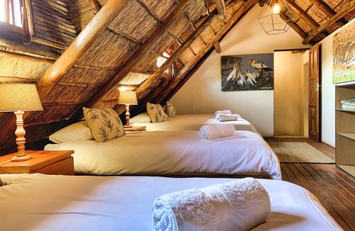 Hammanskraal Cabin | Tshikwalo Game Lodge