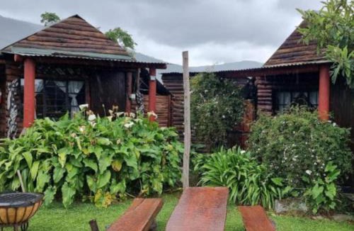Witelsbos Other | Tsitsikamma Wolf Sanctuary ECO Cabins & Teepees