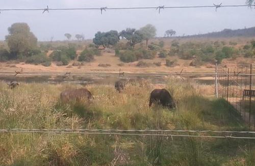 Marloth Park Apartment | Tswenyane Kruger Riverview Apartment 1&2