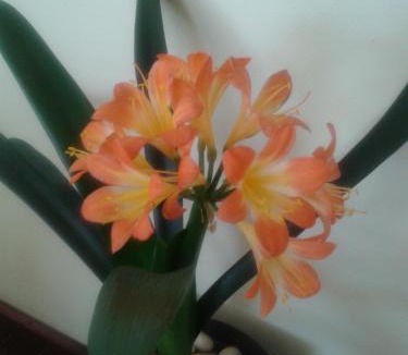 Middelburg House | Turquoise View Guesthouse