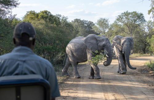 Thorny Bush Game Reserve Villa | Ukanyi Luxury Villa