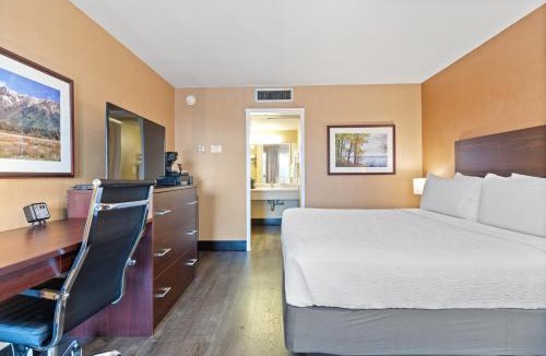 Burlingame Hotel | Vagabond Inn Executive San Francisco Airport SFO