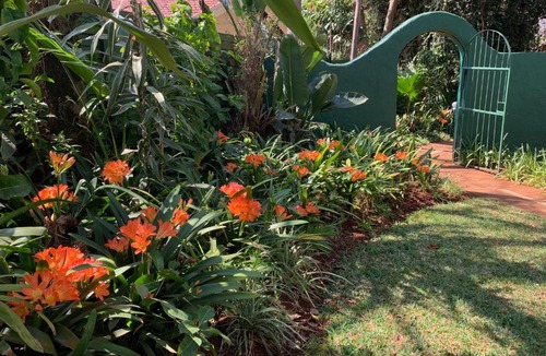 Makhado Cabin | Villa Grande Lodge