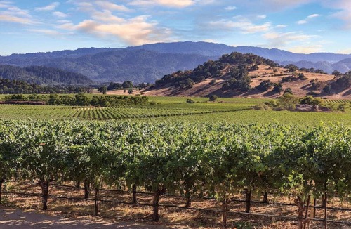 Napa House | Vino Bello Resort and Spa Napa Valley