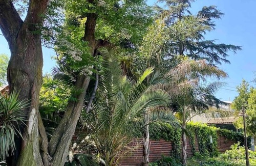 Edenvale House | Vintage home with no power outage